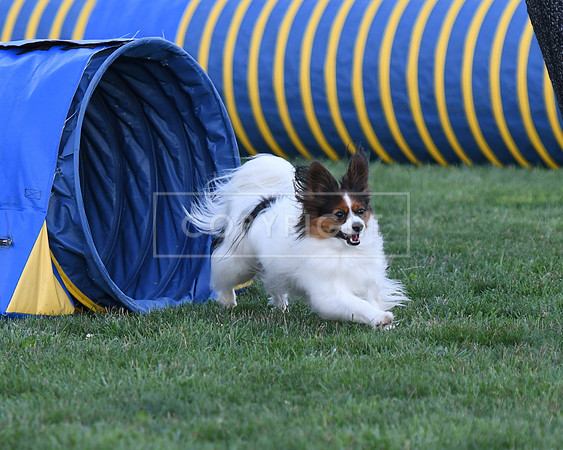 DSC_4097