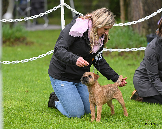 DSC_0258