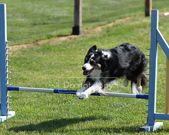 DSC_2755