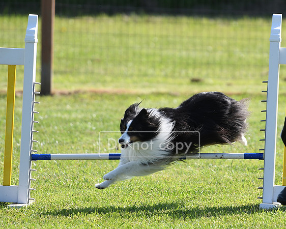DSC_2779