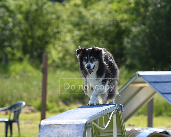 DSC_2795