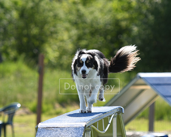 DSC_3035