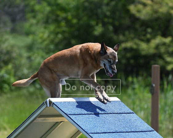 DSC_4040