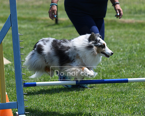 DSC_4054