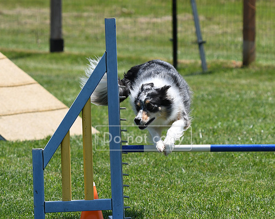 DSC_4079