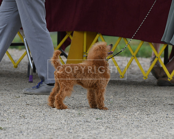 DSC_5568