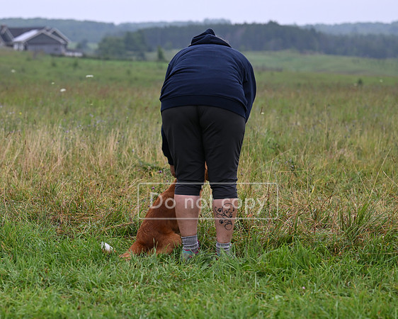 DSC_0889