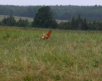 DSC_0891