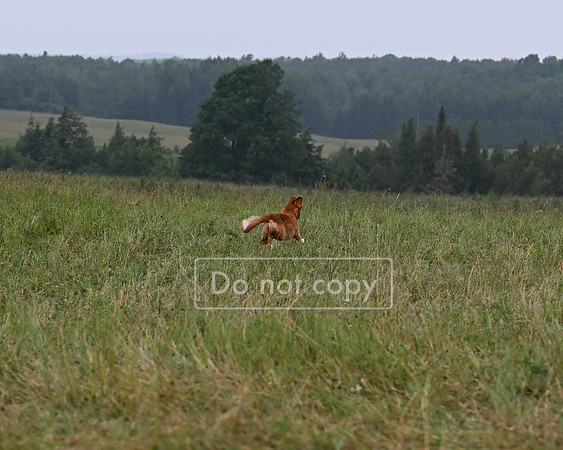 DSC_0892