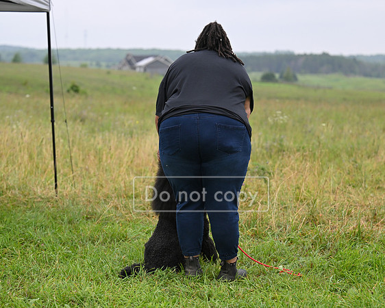 DSC_1187