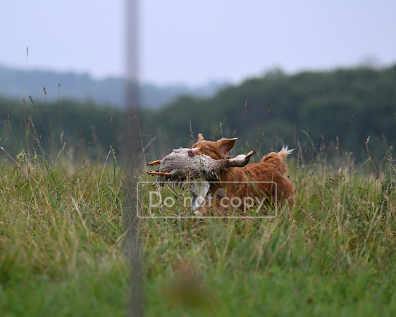 DSC_1772