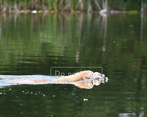 DSC_2480