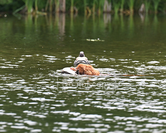 DSC_2493