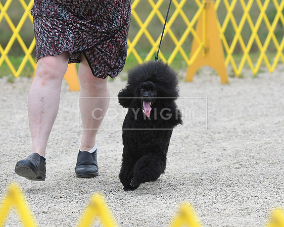 DSC_4969