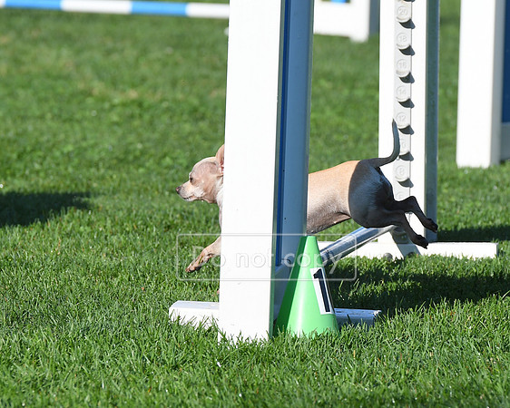 DSC_0551