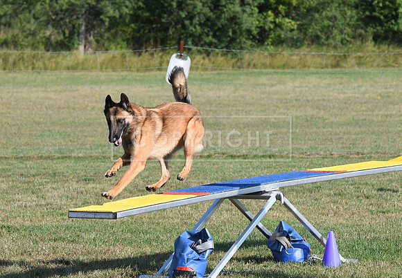 DSC_1675