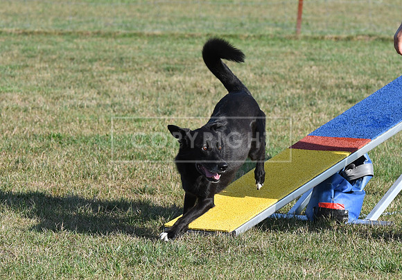 DSC_1433