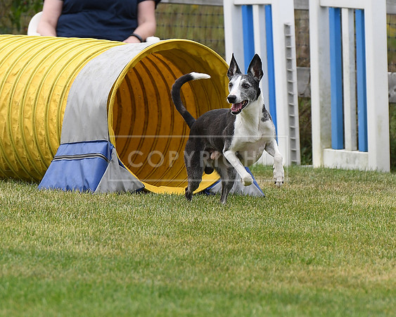 DSC_0083