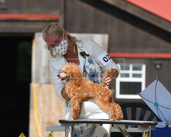 DSC_6548