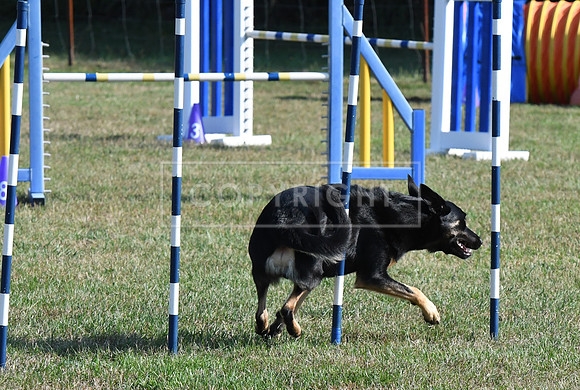 DSC_1563