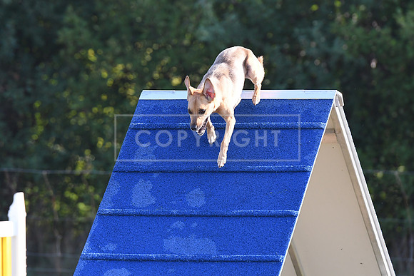 DSC_1357