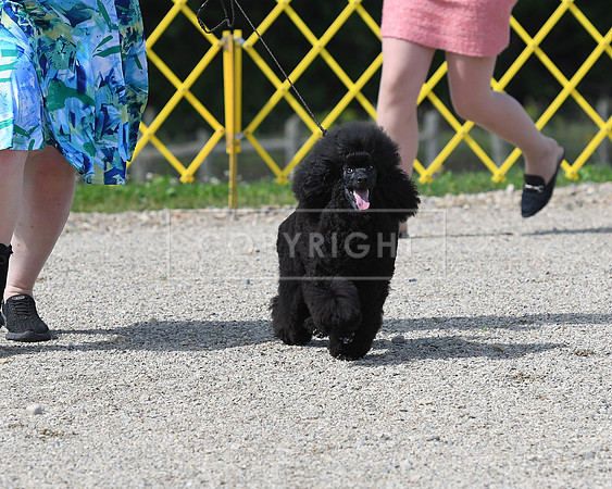 DSC_6089