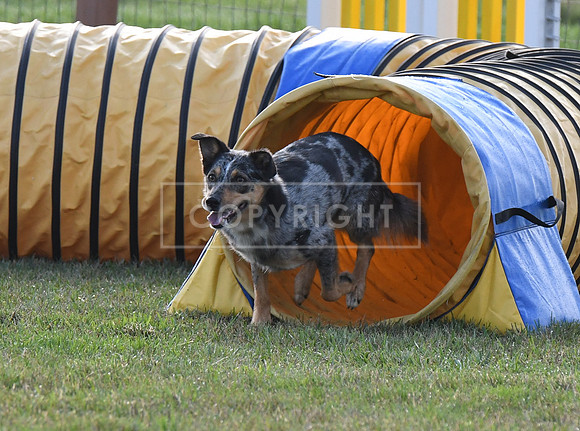 DSC_0854