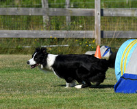 DSC_6356