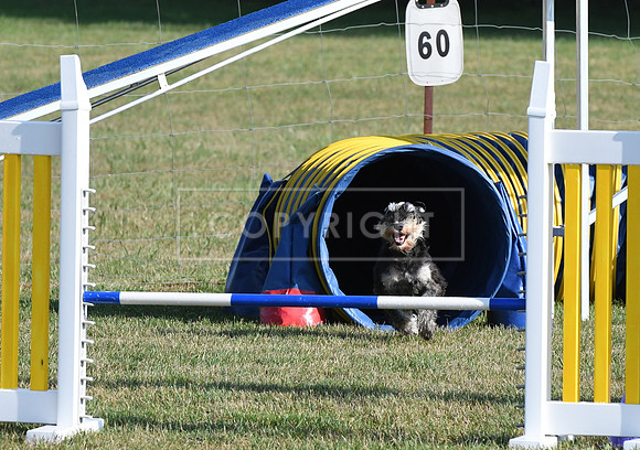 DSC_1196
