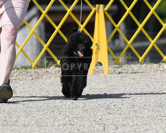 DSC_6471