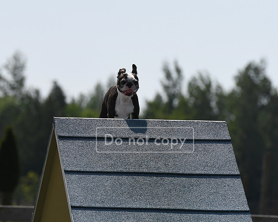DSC_8505