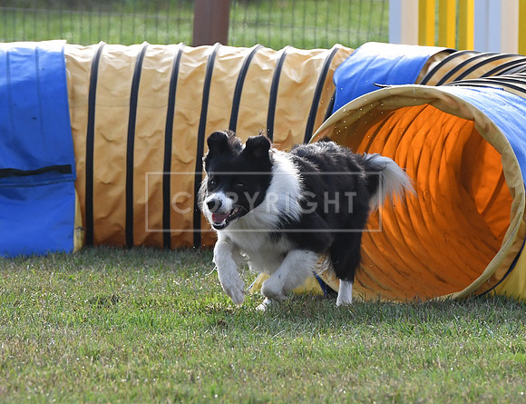 DSC_0964