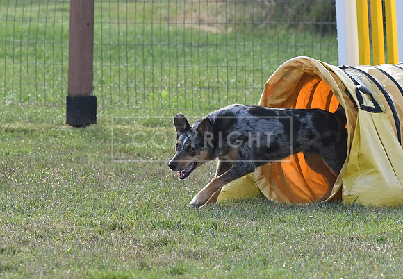 DSC_0848