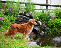 DSC_4660.apsd