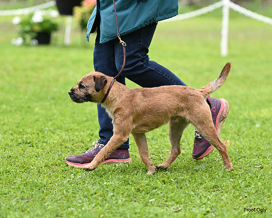 DSC_2230