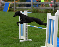 DSC_3329